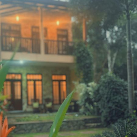 Amour At Turtle Beach Tangalle Exterior foto