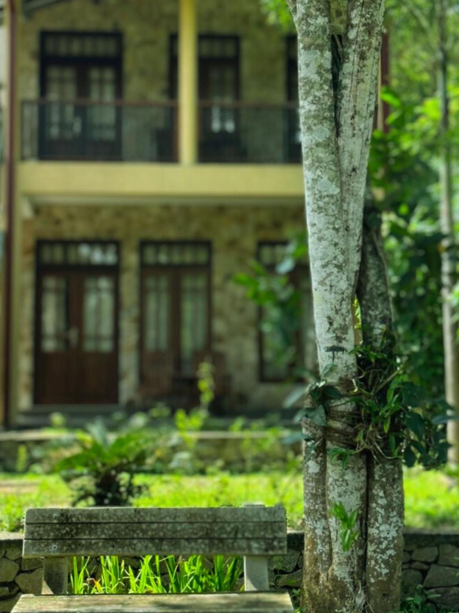 Amour At Turtle Beach Tangalle Exterior foto